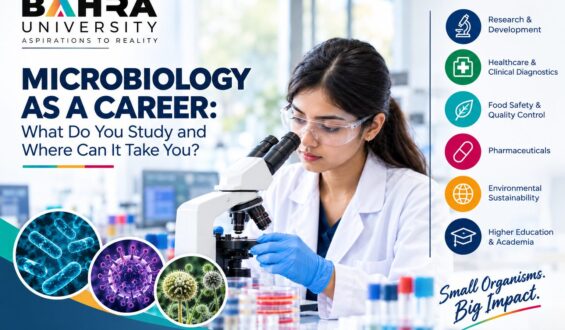 Microbiology as a Career: What Do You Study and Where Can It Take You?
