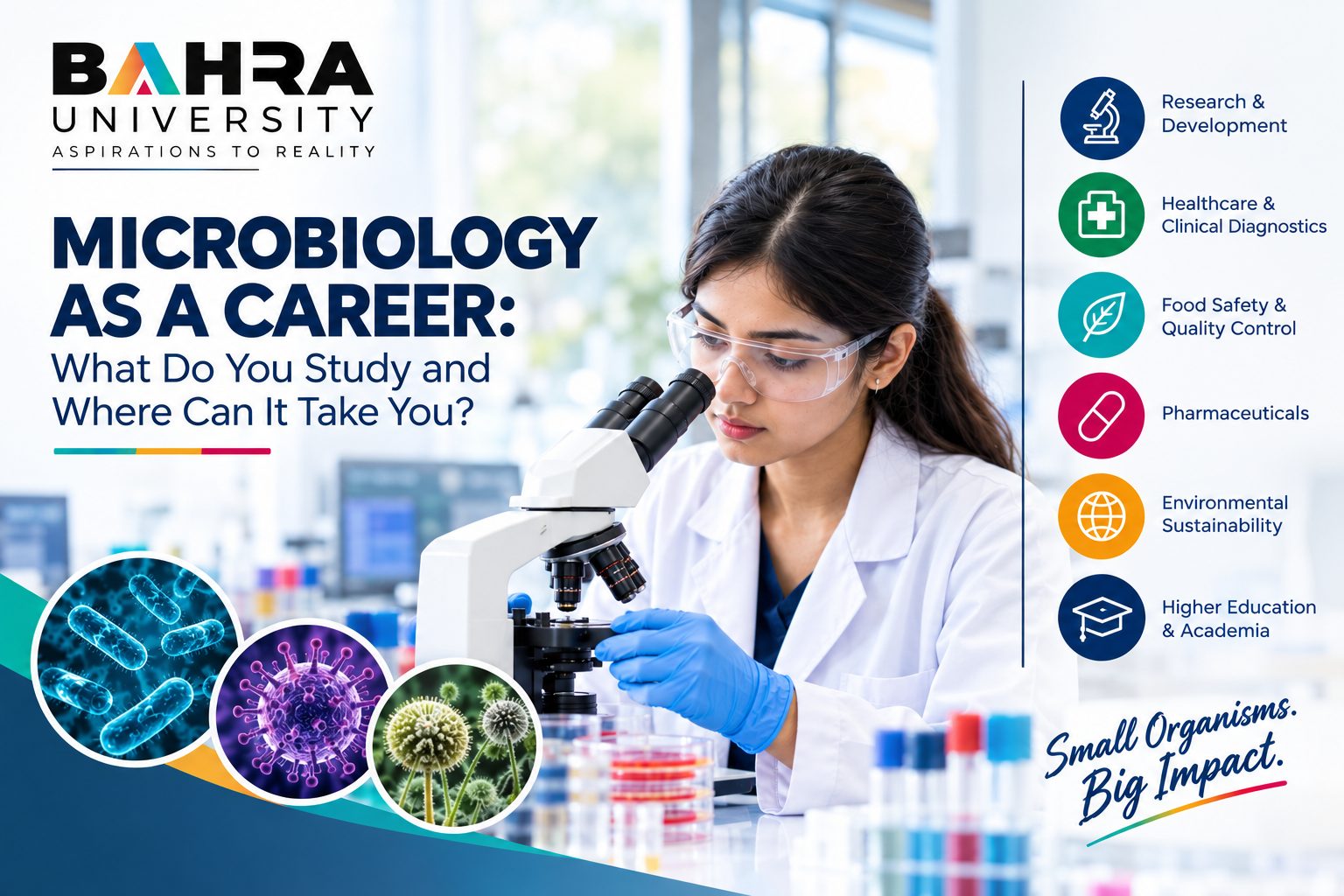 Microbiology as a Career: What Do You Study and Where Can It Take You?